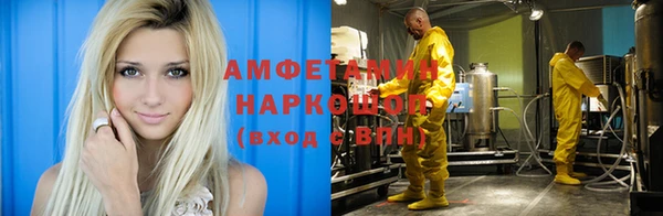 тгк Инсар