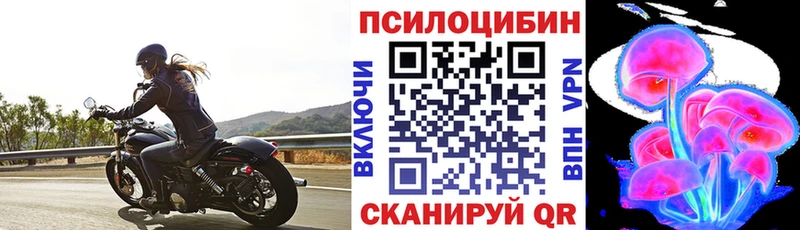 Галлюциногенные грибы мухоморы  Купить закладки  Ефремов 